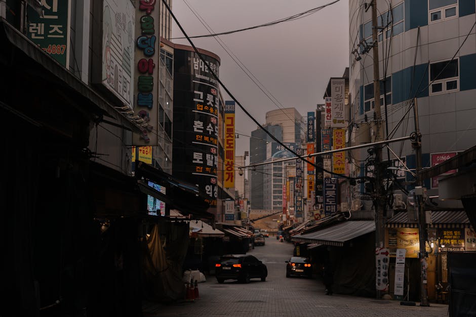 Frontend dev - imagem 2